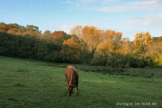 Morgenstimmung im Wurmtal bei Herzogenrath-Straß