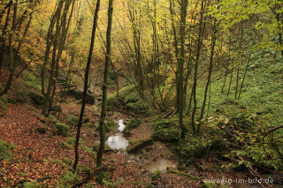 Naturdenkmal Butzerbachtal, Südeifel