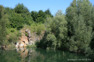 Naturschutzgebiet Schomet, Breinig