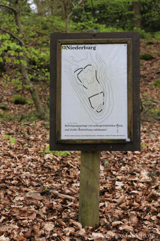 Niederburg, Ferschweiler Plateau