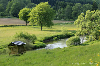 Ourtal südlich von Ouren