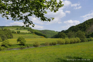 Ourtal zwischen Oberhausen und Ouren