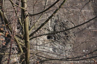 Panzermauer des Westwalls beim Schneeberg