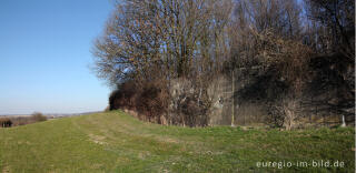 Panzermauer des Westwalls, Schneeberg 