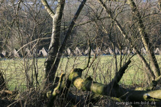 Panzersperre des Westwalls bei Lammersdorf