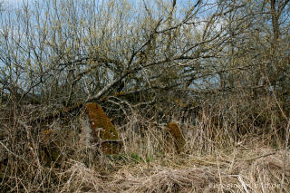 Panzersperre, westlich von Simmerath