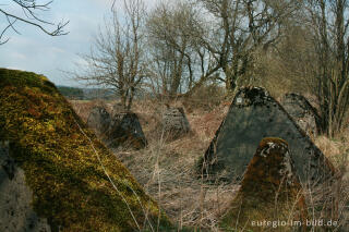 Panzersperre, westlich von Simmerath