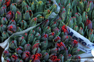 Papageientulpen auf dem Blumenmarkt von Amsterdam