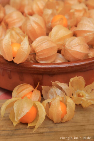 Physalis oder Andenbeere