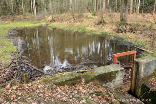 Quelle der Göhl (Geul, Gueule) bei Lichtenbusch in Belgien