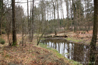 Quelle der Göhl (Geul, Gueule) bei Lichtenbusch in Belgien