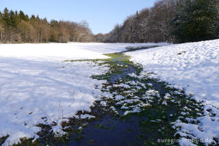 Quelle in einer winterlichen Wiese