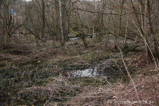 Quellgebiet beim ehemaligen Bergbaugelände, Plombières