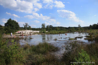 Quellgebiet des Rode Beek in der Brunssummerheide