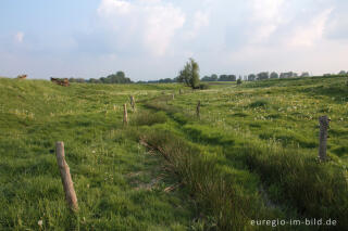 Quellgebiet des Steinkaulbachs bei Aachen-Horbach