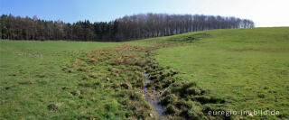 Quellgebiet südlich vom Gippenhaagerbusch, B.