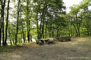 Rastplatz am Obersee (Rurtalsperre)