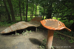 Rastplatz auf der Hirschley-Route im Kermeter, Nationalpark Eifel