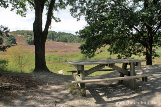 Rastplatz in der Brunssummerheide