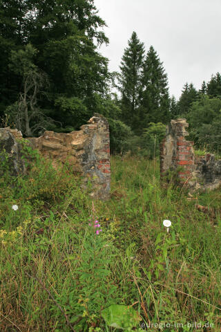 Reinartzhof - Ruinen mitten im Venn