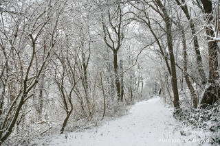 Reitweg im Wurmtal bei Würselen-Pley