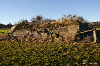 Relikt der Befestigungen des sog. Westwalls von 1938/39 in der Schnee-Eifel