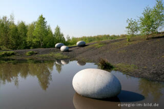 Rieseneier im Wurmtal