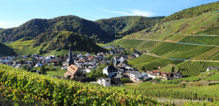 Rotweinwanderweg im Ahrtal von Dernau nach Mayschoss