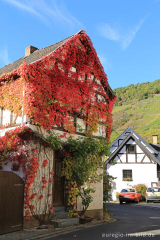 Rotweinwanderweg im Ahrtal von Dernau nach Mayschoss