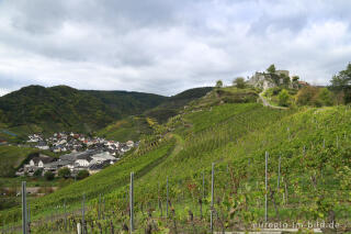 Ruine der Saffenburg bei Mayschoß