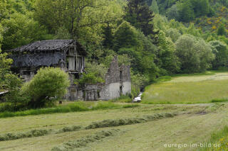 Ruine im Tal des Schiebachs bei Ouren