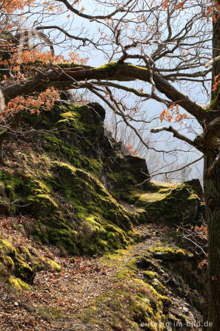 Schieferfelsen auf dem Meuchelberg