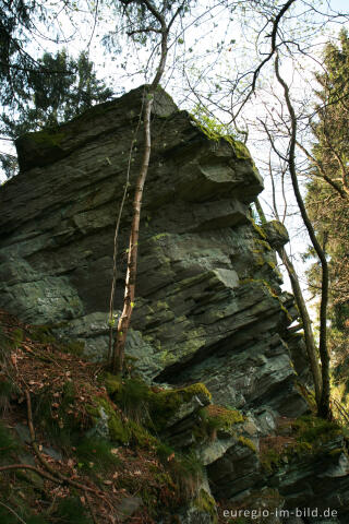 Schieferfelsen oder Ley, Eifelsteig, 3. Etappe