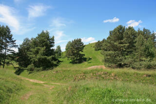 Schlangenberg bei Breinigerheide, Nordeifel