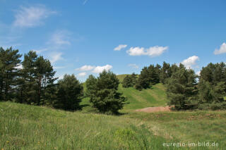 Schlangenberg bei Breinigerheide, Nordeifel