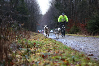 Schlittenhunderennen beim Freizeitzentrum Tomberg, Rodt, Belgien