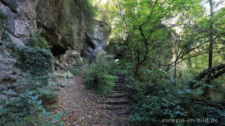 Schluchtwald bei den KartsteinhÃ¶hlen, DreimÃ¼hlen (Gem. Mechernich), Eifel