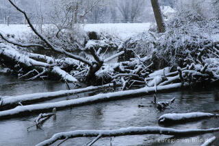 Schnee im Wurmtal