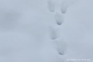 Schnee, Korrektur, 2 Stufen heller, f 7,1 und 1/100s