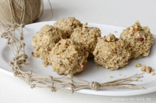 Schritt für Schritt Anleitung für Meisenknödel