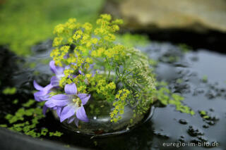 Schwimmender Mini-Blumenstrauß