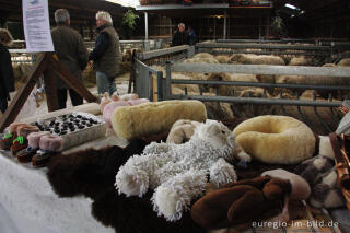 Shop in der Schäferei "Schaapskooi Mergelland"