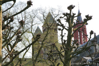 Sint Janskerk und Servaasbasiliek, Vrijthof in Maastricht