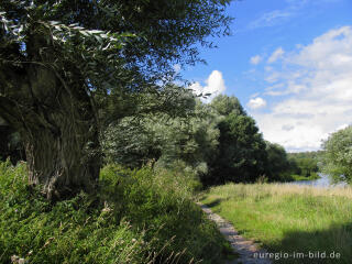 Sommerstimmung am Cranenweyer