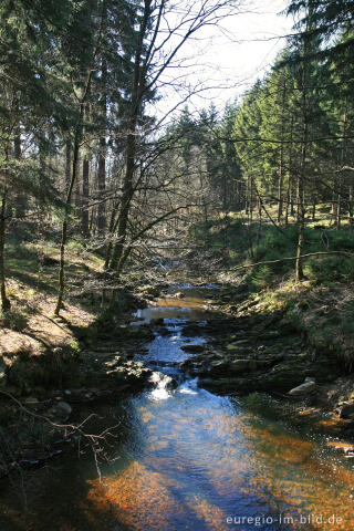 Steinbach, Eifelsteig, 2.Etappe