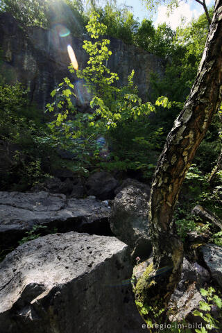 Steinbruch im Freizeitgelände Walheim