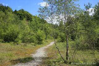 Steinbruch im Freizeitgelände Walheim