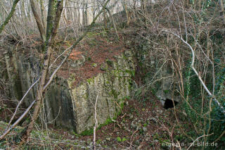 Steinbruch, NSG, Schmithof (Aachen-Schmithof)