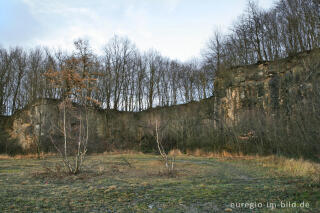 Steinbruch, NSG, Schmithof (Aachen-Schmithof)