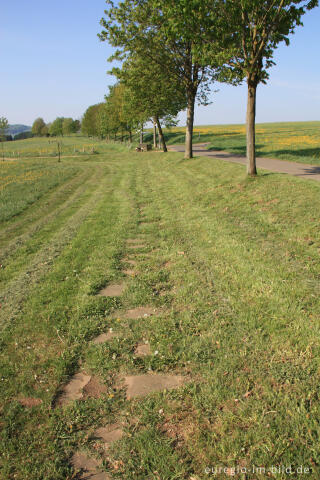 Steine und Gras auf dem Hillesheimer Barfußpfad im Bolsdorfer Tälchen